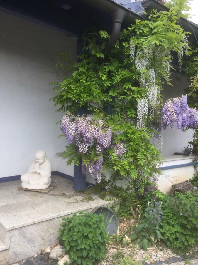Gaensebluemchen 1 Apartment Daisy 1 Walsdorf  외부 사진